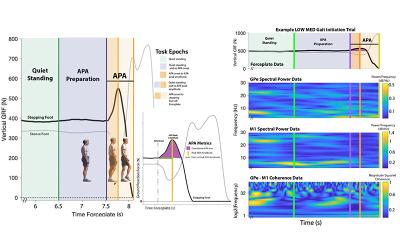 Two charts illustrative of the neural control of gait functions